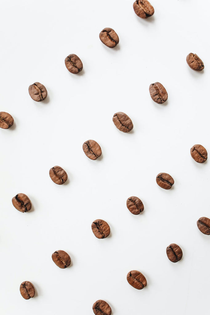 Skillnaden Mellan Arabica Och Robusta